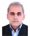 حامد حبیب زاده
